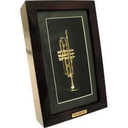 Framed mini trumpet