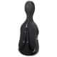 Facts CS 02 cello case