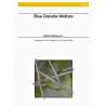 Strauss - Le Beau Danube Bleu for 4 flutes