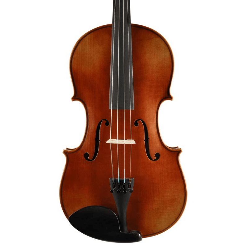 Scott Cao STA-150 viola at BD Music