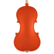 Leonardo colored violin