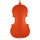 Violon Leonardo coloré rouge dos | BD Music