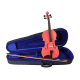 Leonardo colored violin