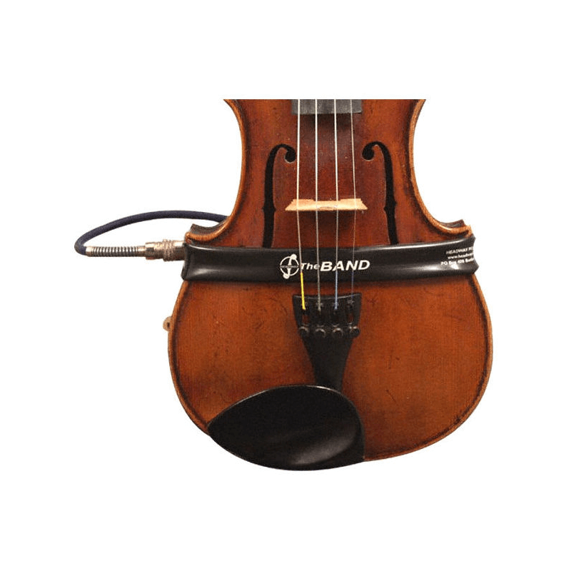 Voorschrift Toelating Monumentaal TheBand (alt)viool microfoon bij BD Music