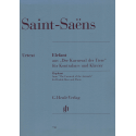 Saint-Saens - L'éléphant -contrebasse et piano