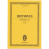Beethoven - Sinfonie n°6