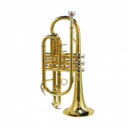 Stewart Ellis SE-1200-L cornet