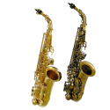 Stewart Ellis 710 alto saxophone (lacquered or antique)