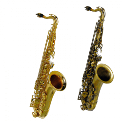Stewart Ellis 720-ALB tenor saxophone