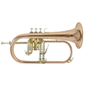 Bugle Bach FH-501 Student