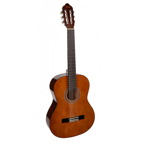Valencia klassieke gitaar, 100 série