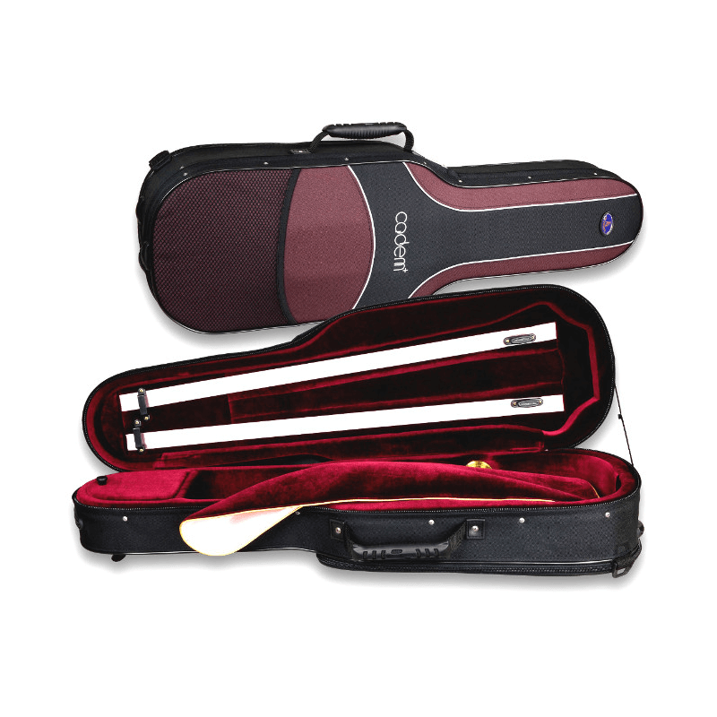 Artonus Cadem + violin case at BD Music