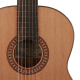 Salvador Cortez CC-25 classical guitar