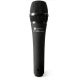 ProdIpe TT-1 PRO Ludovic Lanen vocal mic