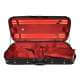 Leonardo violin and viola case