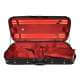 Leonardo violin and viola case