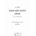 Bach - Sheep may safely graze pour piano solo