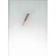 Glotin oboe reed