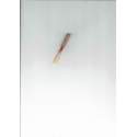 Glotin oboe reed