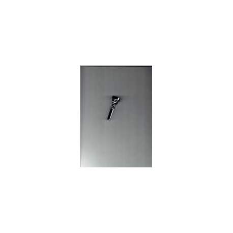 embouchure cornet